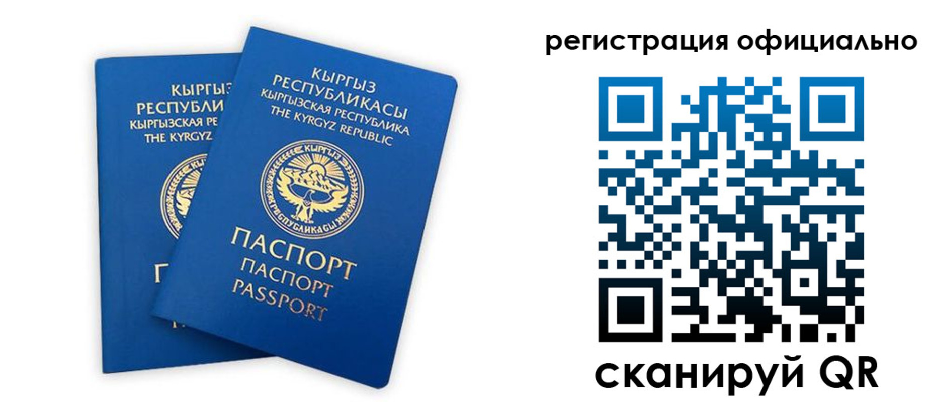 прописка поиск в Коркино